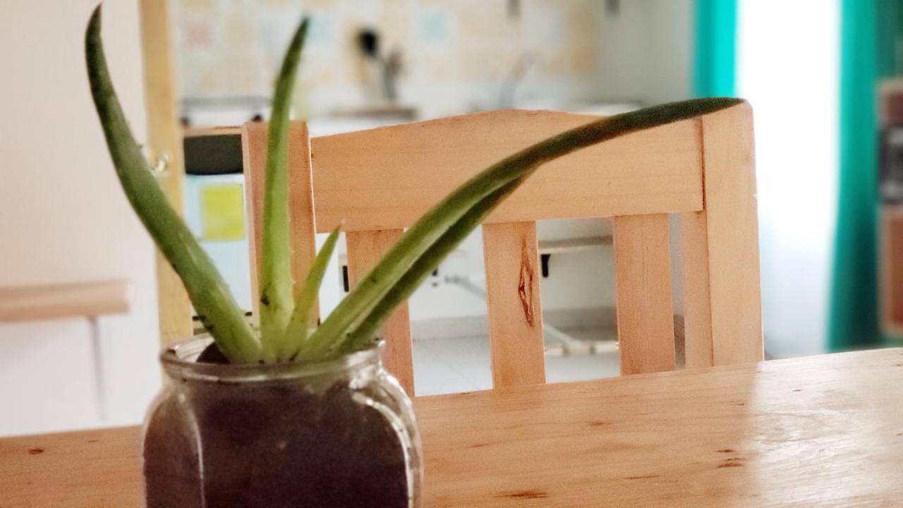 Kukul'Ik Tapancos Apartment San Cristobal de las Casas Ngoại thất bức ảnh