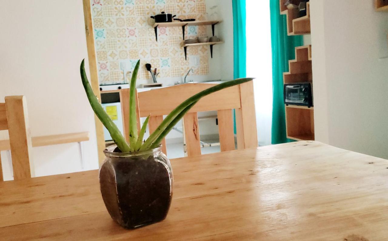 Kukul'Ik Tapancos Apartment San Cristobal de las Casas Ngoại thất bức ảnh